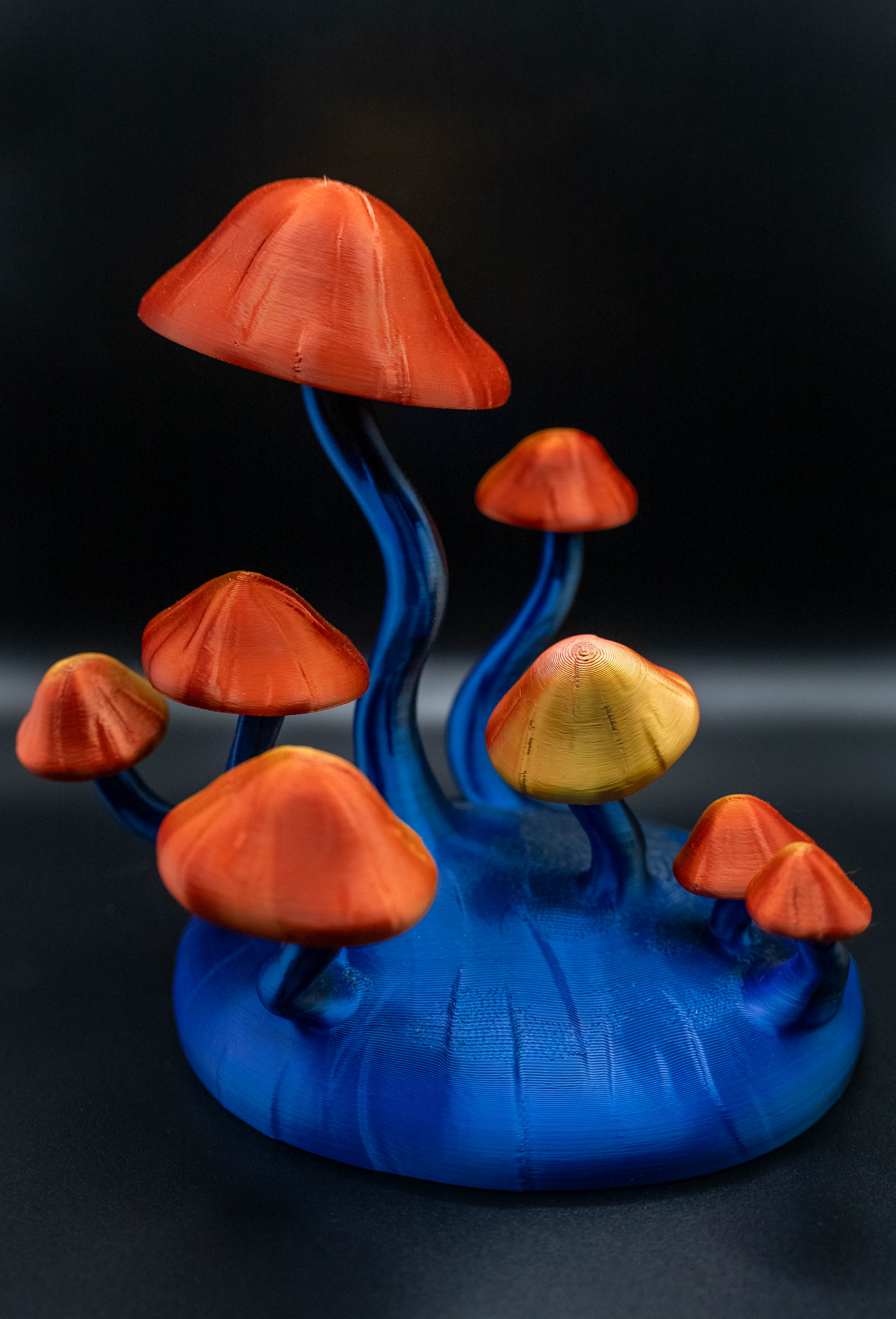 Mushroom stand image 3